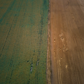 Ősszel is kell nitrogén a búzának – drónokkal egyszerűen megoldható